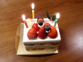 xmascake.JPG